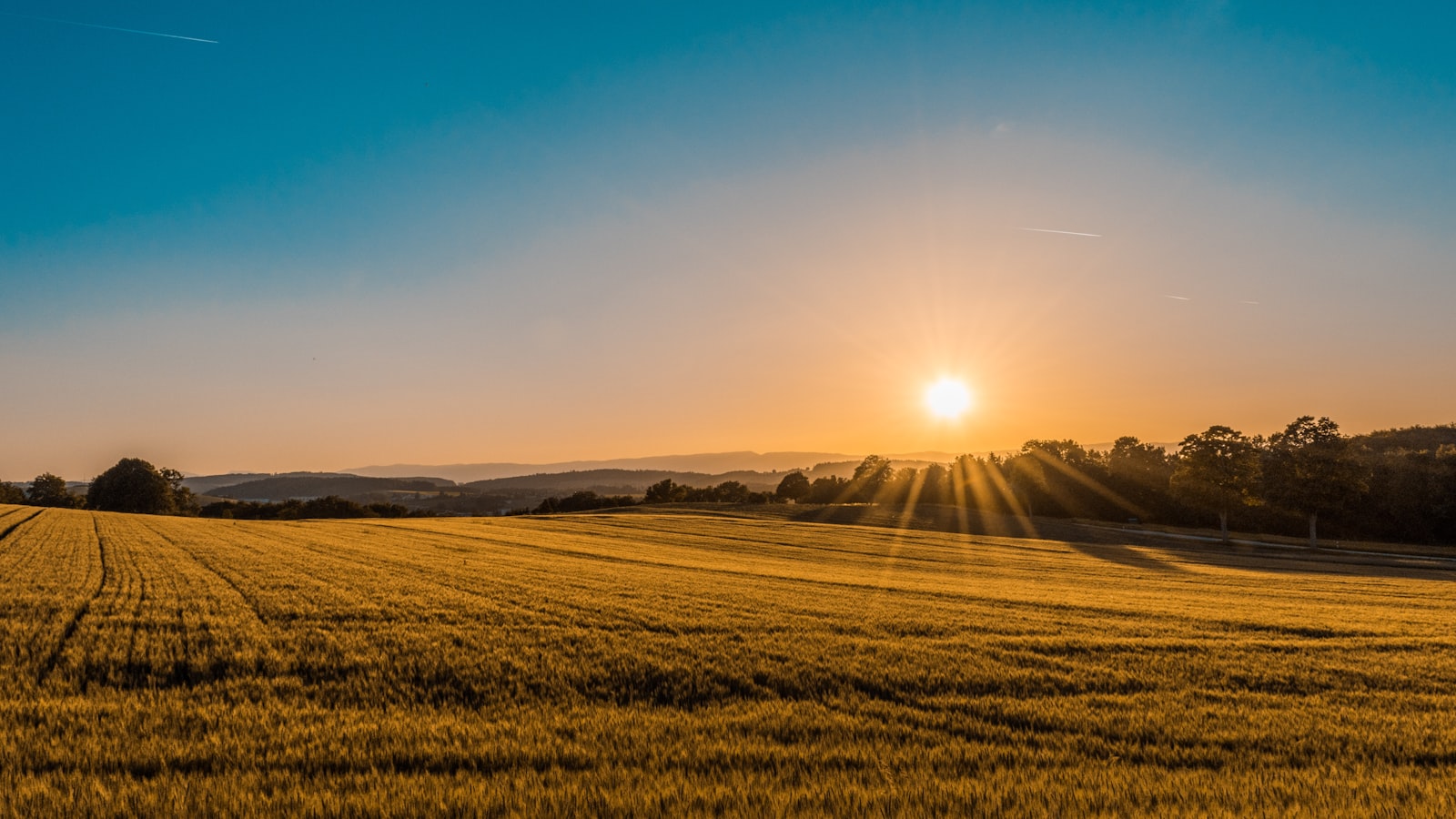 Open land at sunset